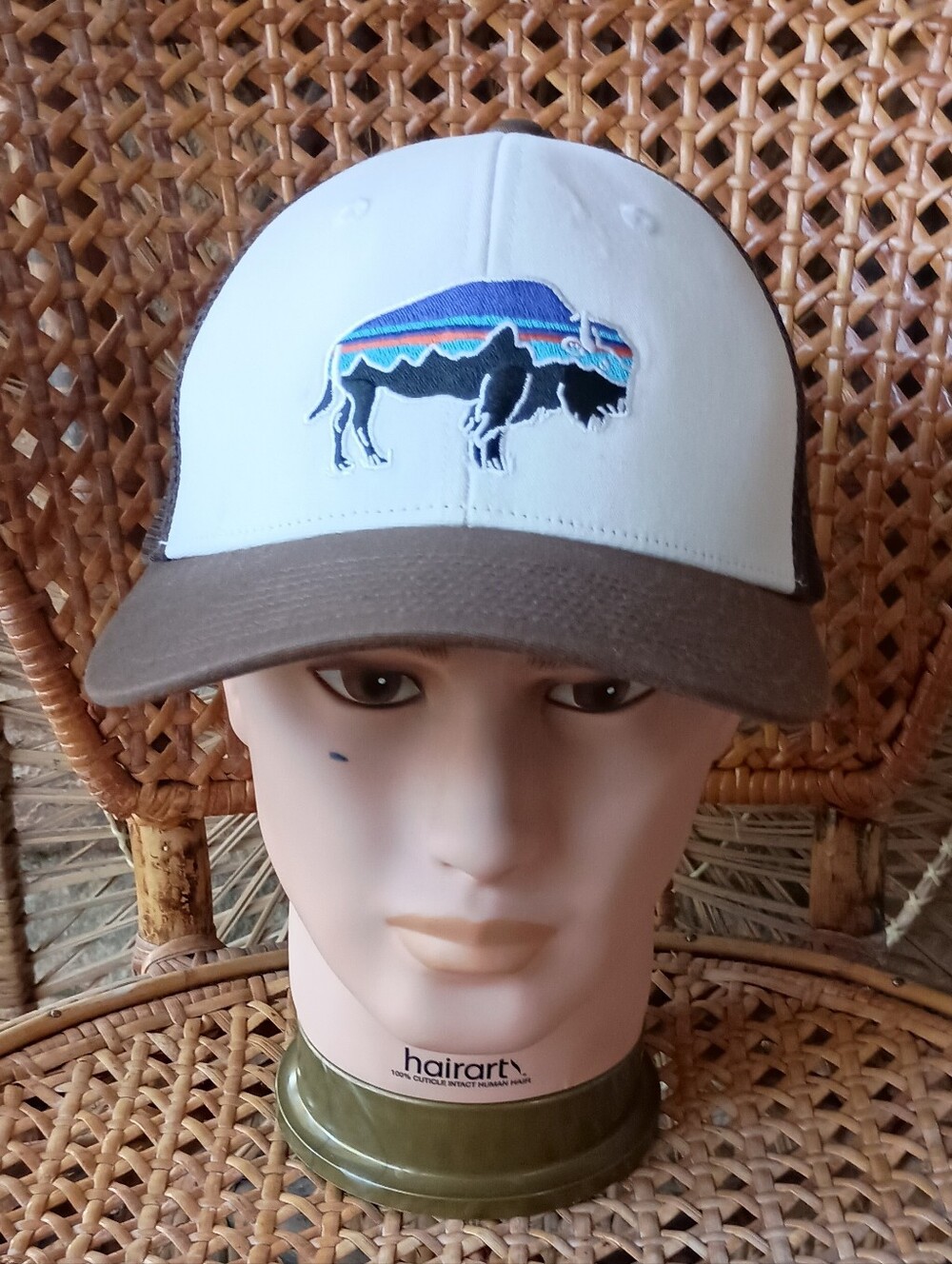Patagonia Cream & Brown Buffalo Trucker Hat_Adjustable
